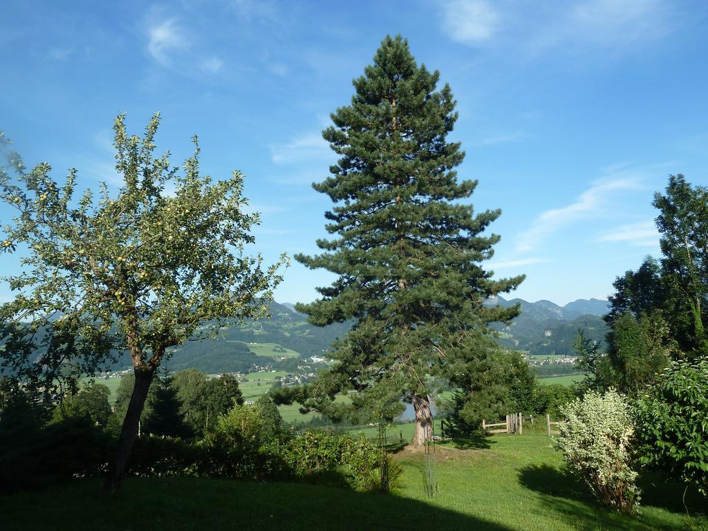 Penzion Schoene Aussicht 3*