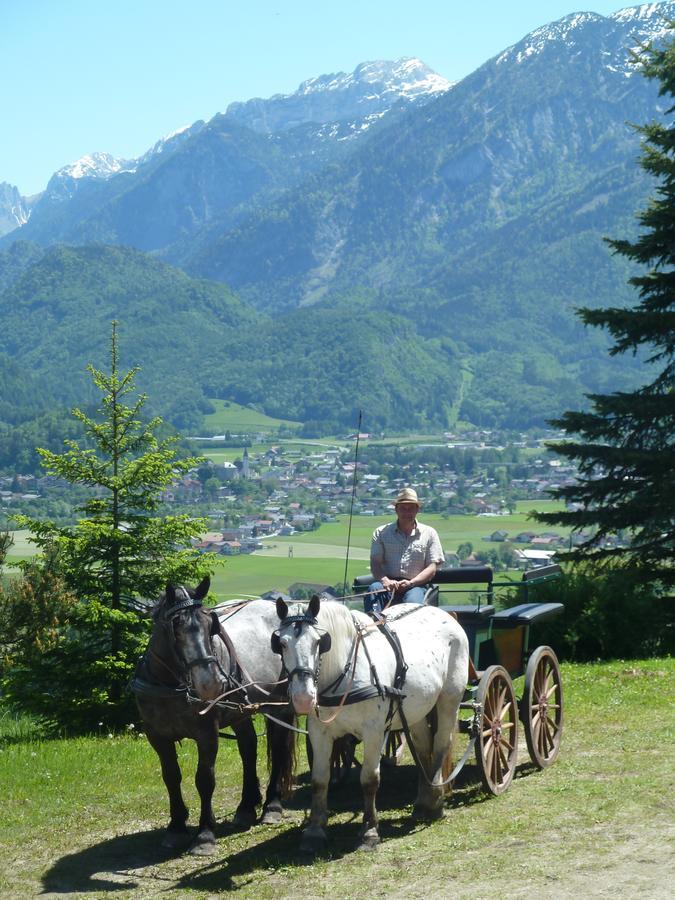 Schoene Aussicht 3* Kuchl